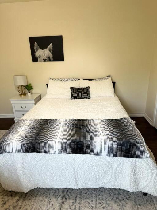 Walk To The Alamodome! Sleeps 6, Pet Friendly Apartamento San Antonio Exterior foto